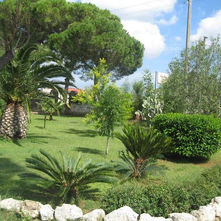 Villa Rita Bed & Breakfast Campi Salentina Exterior foto